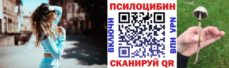 Псилоцибиновые грибы Psilocybe Химки