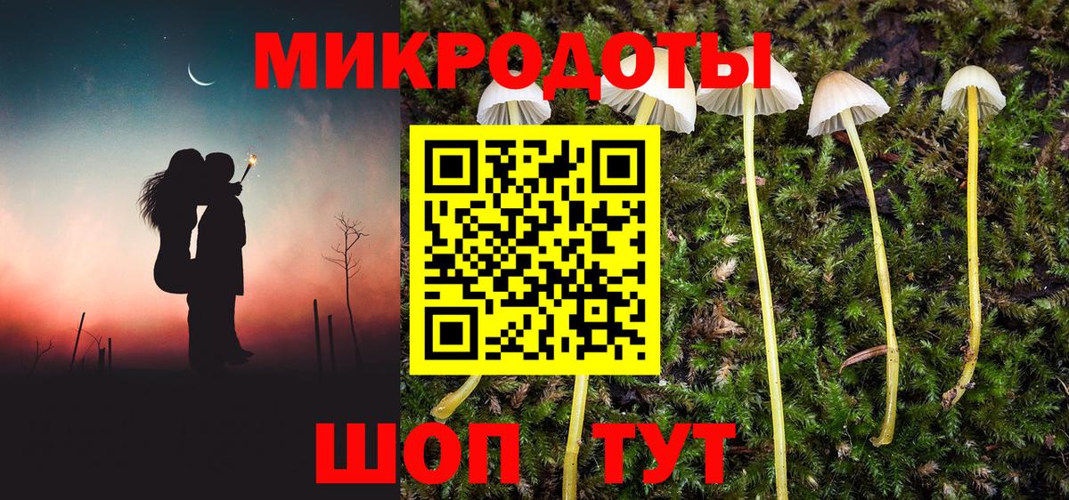 Галлюциногенные грибы мицелий  Вход с VPN  Химки  Галлюциногенные грибы Magic Shrooms 